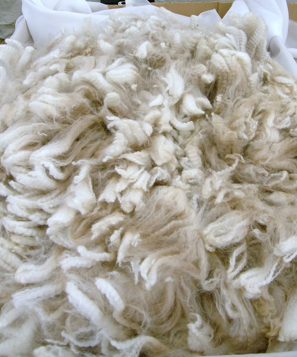 All About Alpaca Wool: Benefits, Care, and More – ZigZagZurich